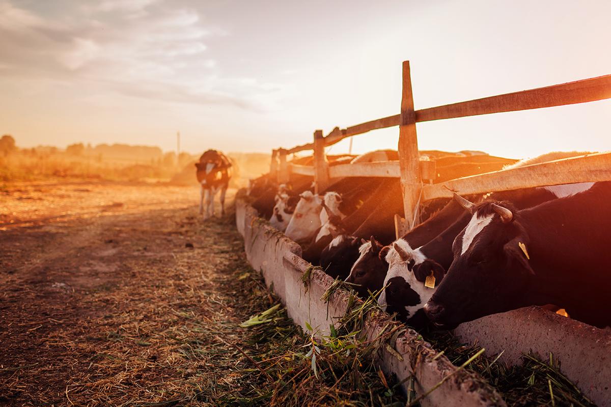 working capital for farmers