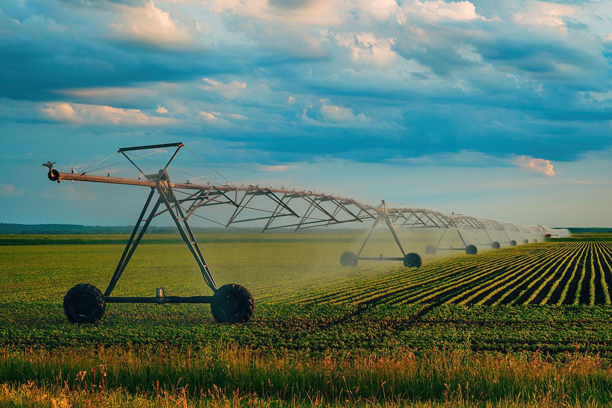 working capital in agribusiness