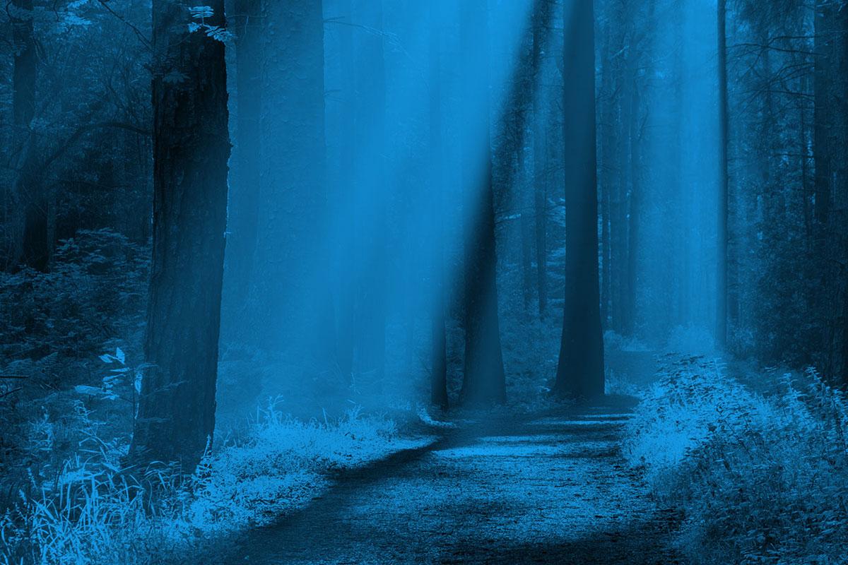 Not out of the woods Economic July 2024